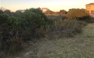 1730 m² Land available in Brackenridge