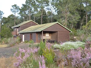 8 ha Farm in Harkerville