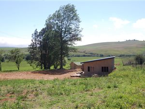 7.4 ha Farm in Bulwer