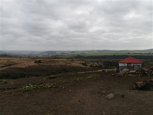 14 ha Land available in Tongaat Central