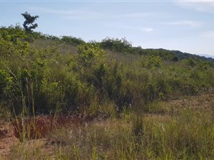 13 ha Farm in The Rest Nature Estate