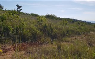 13 ha Farm in The Rest Nature Estate