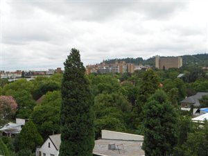 1 Bed Apartment in Clydesdale