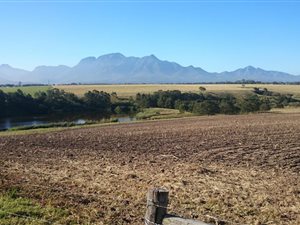 56 ha Farm in George Central