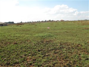 1115 m² Land available in Welgedacht
