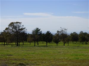 872 m² Land available in Darling