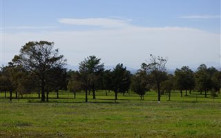 812 m² Land available in Darling