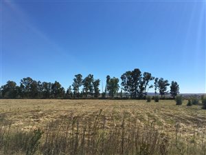 Industrial space in Meyerton