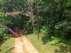 1861 m² Land available in Waterfall