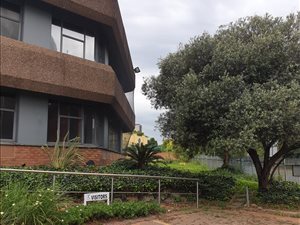 4400 m² Commercial space in Bedfordview