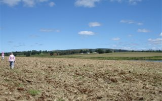 5.8 ha Land available in Himeville