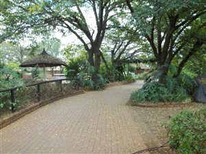 4 Bed House in Rand Collieries