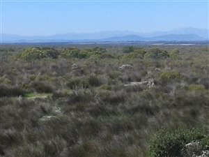 585 ha Farm in Hopefield