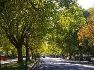 1 Bed Apartment in Stellenbosch Central