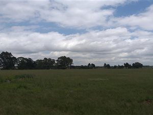 55.4 ha Farm in Mapleton