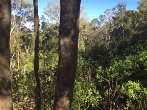 3 ha Land available in Victoria Bay