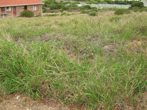 800 m² Land available in Vyf Brakke Fontein