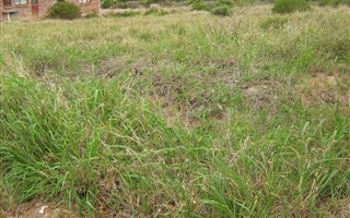 800 m² Land available in Vyf Brakke Fontein