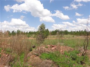 342 m² Land available in Mooikloof Country Residences