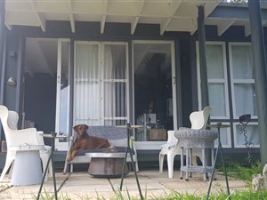 1 Bed Garden Cottage in Salt Rock