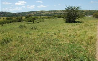 138 ha Farm in Stanger