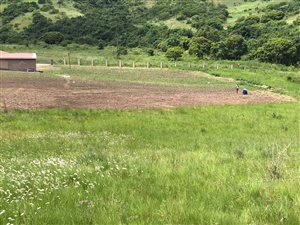 10 ha Farm in Umkomaas