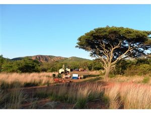 928.8 ha Farm in Makhado (Louis Trichardt)