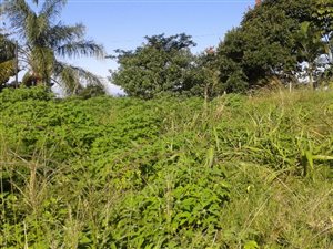 1800 m² Land available in Woodside