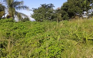 1800 m² Land available in Woodside