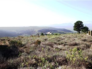 786 m² Land available in Plettenberg Bay