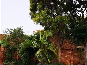 3 Bed House in Montana Park