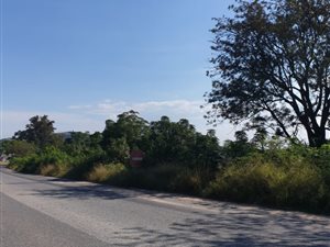 1 ha Land available in Rocky Drift