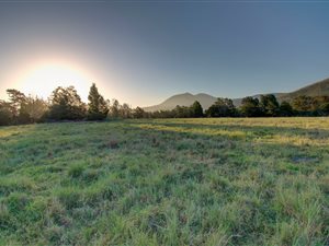 4 ha Farm in The Crags