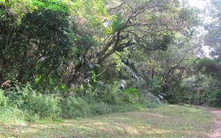 1055 m² Land available in Leisure Bay