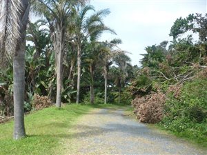 1809 m² Land available in Elysium