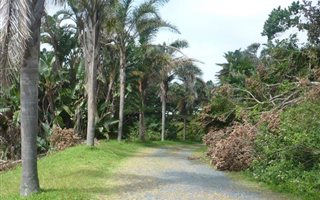 1809 m² Land available in Elysium