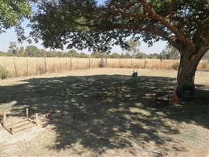 9.1 ha Farm in Grootvlei AH