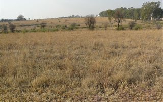 729 m² Land available in Parys Golf Estate
