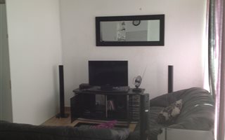 Bachelor apartment in The Reeds