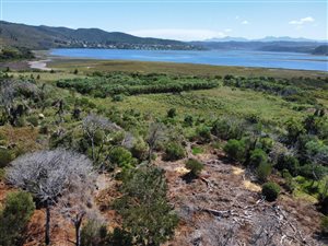 8 ha Farm in Lake Brenton