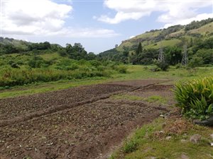 5870 m² Land available in Gillitts