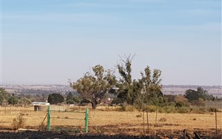 1 ha Land available in Homestead Apple Orchards