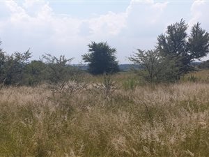 4 ha Land available in Mooiplaats AH