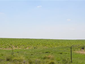 740 ha Land available in Winburg