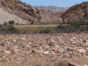 4158 ha Farm in Beaufort West
