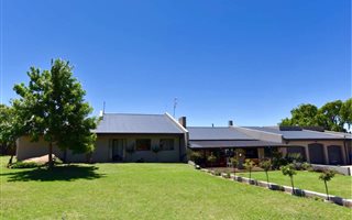 8.6 ha Smallholding in Ermelo