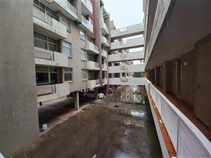 1 Bed Apartment in Hillcrest