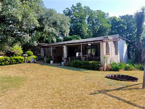 7 ha Farm in Mooinooi