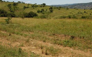 685 ha Farm in Stanger