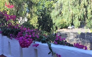 3 Bedroom Townhouse in Bridgewater